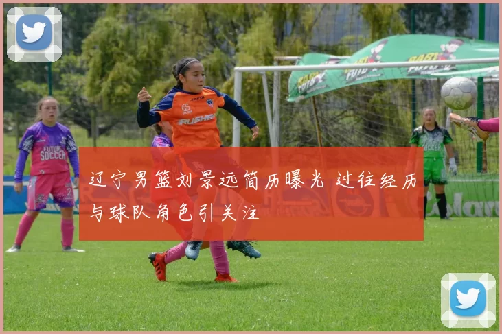 辽宁男篮刘景远简历曝光 过往经历与球队角色引关注